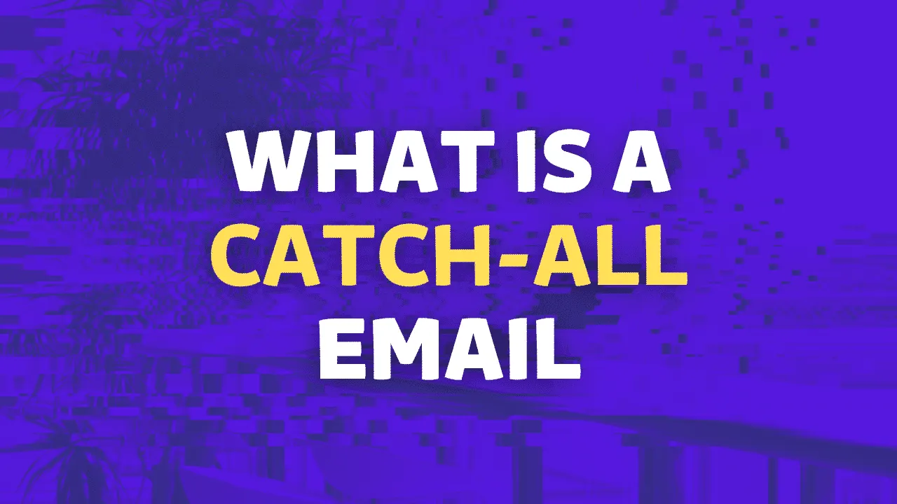 What is a catch-all email
